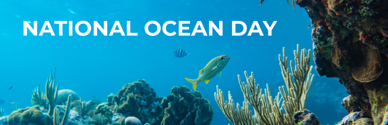 National Ocean Day Hero